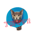野口家の猫たち（個別スタンプ：3）