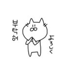 いつもねこ。（韓国語）（個別スタンプ：10）