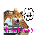 こたくん②（個別スタンプ：4）