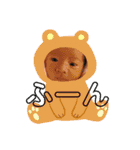 あおと♡あさひ（個別スタンプ：10）