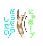 けだま天使ぷぴちゃん（個別スタンプ：24）