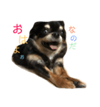 竹田家の子供たち（個別スタンプ：1）
