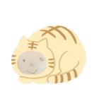 ベび（個別スタンプ：5）