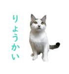 ラトとタリタのラブリースタンプ 01（個別スタンプ：2）