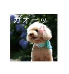 毎日の何気ない会話スタンプ（個別スタンプ：19）