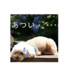 毎日の何気ない会話スタンプ（個別スタンプ：22）