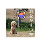 毎日の何気ない会話スタンプ（個別スタンプ：24）