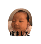 ちゃち①（個別スタンプ：16）