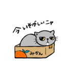 おまめさんのスタンプ（個別スタンプ：19）