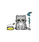 おまめさんのスタンプ（個別スタンプ：29）