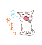 水玉ミケねこ（個別スタンプ：1）