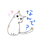 水玉ミケねこ（個別スタンプ：10）