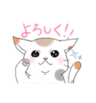 水玉ミケねこ（個別スタンプ：22）