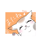 水玉ミケねこ（個別スタンプ：24）