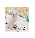 ハムスターで会話（個別スタンプ：15）
