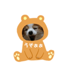 愛犬スタンプ生活2（個別スタンプ：19）