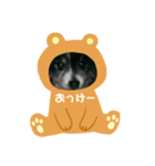 愛犬スタンプ生活2（個別スタンプ：22）