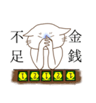 ボードゲーム猫（個別スタンプ：24）