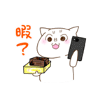 ボードゲーム猫（個別スタンプ：33）