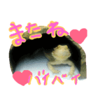 みゅのスタンプ（個別スタンプ：6）