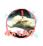 みゅのスタンプ（個別スタンプ：7）
