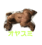 どうぶつがすき（個別スタンプ：4）