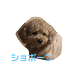 どうぶつがすき（個別スタンプ：7）