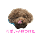 どうぶつがすき（個別スタンプ：16）
