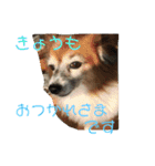 こころ日和第2弾（個別スタンプ：1）