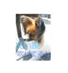 こころ日和第2弾（個別スタンプ：3）