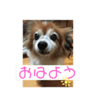 こころ日和第2弾（個別スタンプ：8）