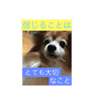 こころ日和第2弾（個別スタンプ：17）