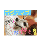 こころ日和第2弾（個別スタンプ：18）