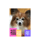 こころ日和第2弾（個別スタンプ：19）