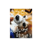 こころ日和第2弾（個別スタンプ：20）