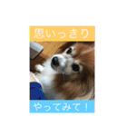 こころ日和第2弾（個別スタンプ：21）
