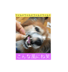 こころ日和第2弾（個別スタンプ：22）