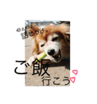 こころ日和第2弾（個別スタンプ：23）