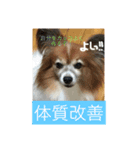 こころ日和第2弾（個別スタンプ：24）