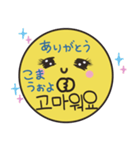 毎日♡韓国語セット(ハングル+日本語訳)（個別スタンプ：1）