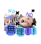 めいちゃん返事（個別スタンプ：5）