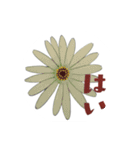 花スタンプ(日常編)（個別スタンプ：2）