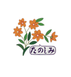 花スタンプ(日常編)（個別スタンプ：13）