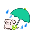 ぶーたの記号スタンプ（個別スタンプ：20）