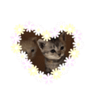 熊と猿とにゃんこ達（個別スタンプ：4）
