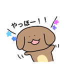 ほんわかわんこ❤️（個別スタンプ：1）