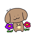 ほんわかわんこ❤️（個別スタンプ：8）