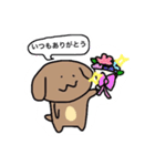 ほんわかわんこ❤️（個別スタンプ：19）