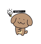 ほんわかわんこ❤️（個別スタンプ：25）