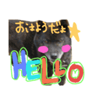 クロと海と（個別スタンプ：1）